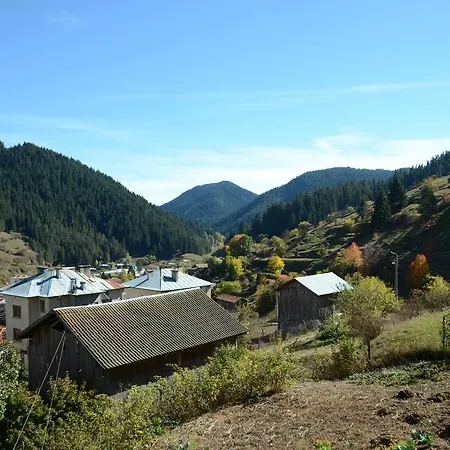 Kristal Affittacamere